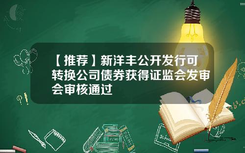 【推荐】新洋丰公开发行可转换公司债券获得证监会发审会审核通过