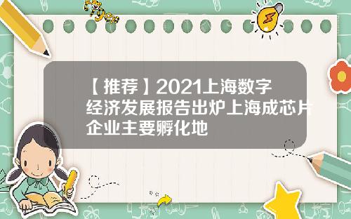 【推荐】2021上海数字经济发展报告出炉上海成芯片企业主要孵化地