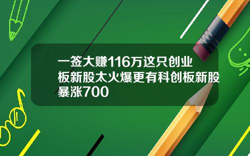 一签大赚116万这只创业板新股太火爆更有科创板新股暴涨700