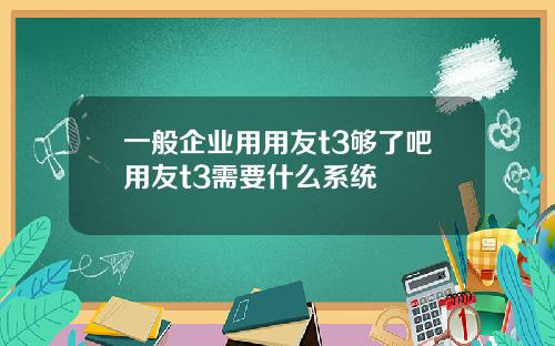 一般企业用用友t3够了吧用友t3需要什么系统