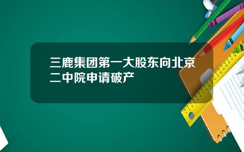 三鹿集团第一大股东向北京二中院申请破产