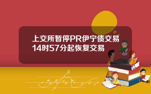 上交所暂停PR伊宁债交易14时57分起恢复交易