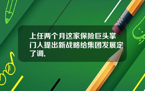 上任两个月这家保险巨头掌门人提出新战略给集团发展定了调.