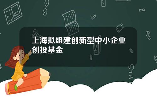 上海拟组建创新型中小企业创投基金