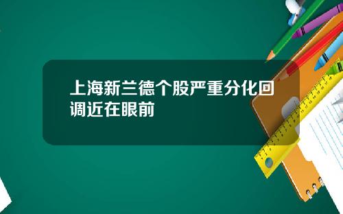 上海新兰德个股严重分化回调近在眼前