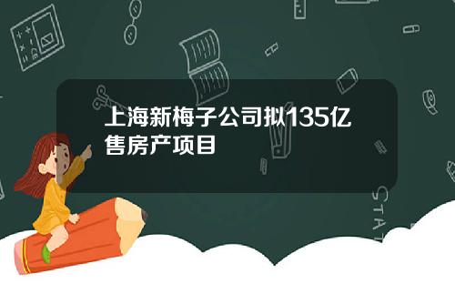 上海新梅子公司拟135亿售房产项目