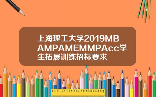 上海理工大学2019MBAMPAMEMMPAcc学生拓展训练招标要求