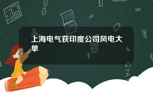 上海电气获印度公司风电大单