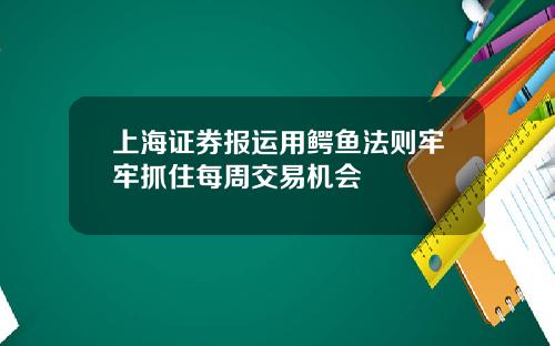 上海证券报运用鳄鱼法则牢牢抓住每周交易机会