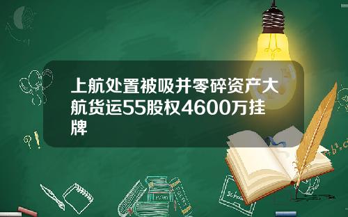 上航处置被吸并零碎资产大航货运55股权4600万挂牌