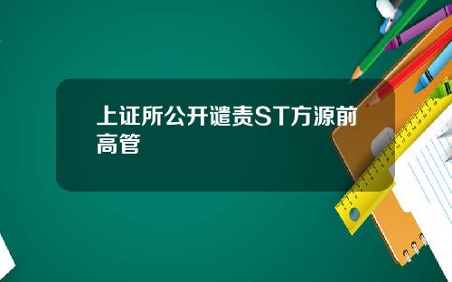 上证所公开谴责ST方源前高管