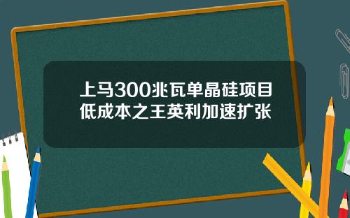 上马300兆瓦单晶硅项目低成本之王英利加速扩张