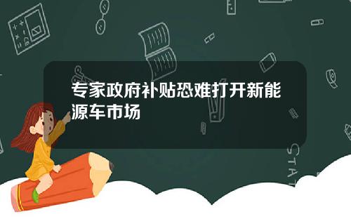 专家政府补贴恐难打开新能源车市场