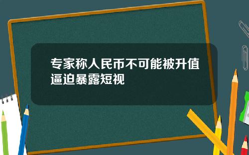 专家称人民币不可能被升值逼迫暴露短视