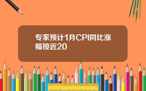 专家预计1月CPI同比涨幅接近20