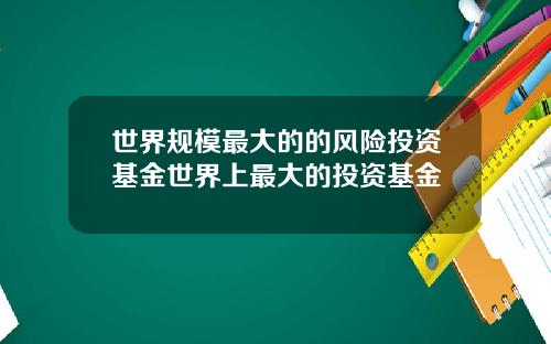 世界规模最大的的风险投资基金世界上最大的投资基金