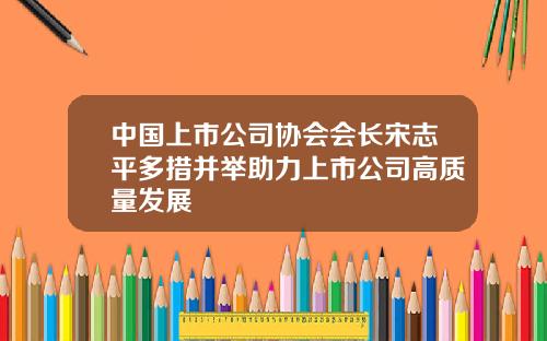 中国上市公司协会会长宋志平多措并举助力上市公司高质量发展