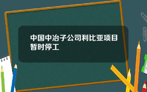 中国中冶子公司利比亚项目暂时停工