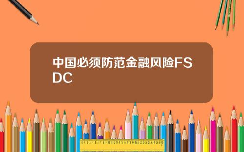 中国必须防范金融风险FSDC