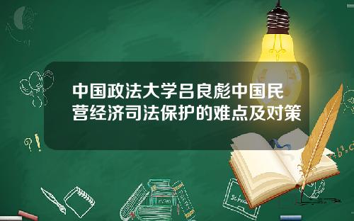 中国政法大学吕良彪中国民营经济司法保护的难点及对策