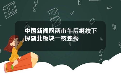 中国新闻网两市午后继续下探湖北板块一枝独秀