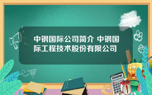 中钢国际公司简介 中钢国际工程技术股份有限公司