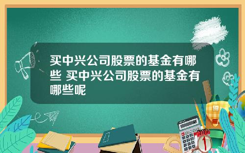 买中兴公司股票的基金有哪些 买中兴公司股票的基金有哪些呢