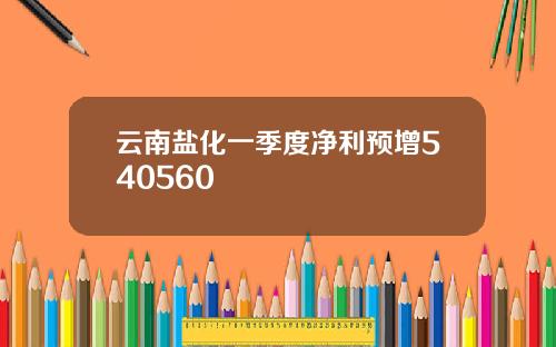 云南盐化一季度净利预增540560