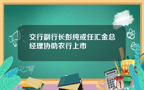 交行副行长彭纯或任汇金总经理协助农行上市