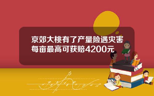 京郊大桃有了产量险遇灾害每亩最高可获赔4200元