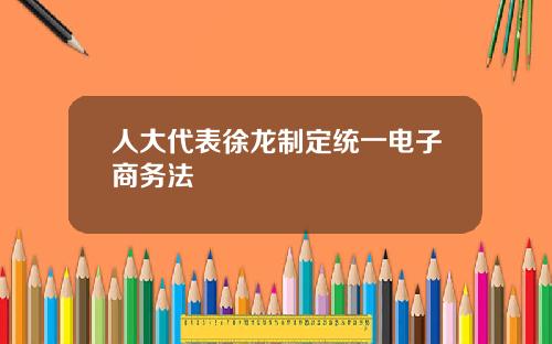 人大代表徐龙制定统一电子商务法