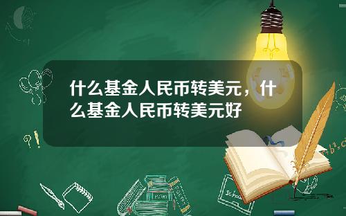 什么基金人民币转美元，什么基金人民币转美元好