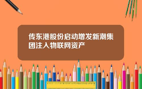 传东港股份启动增发新潮集团注入物联网资产