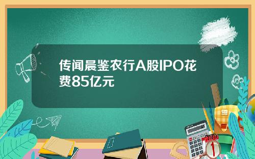 传闻晨鉴农行A股IPO花费85亿元