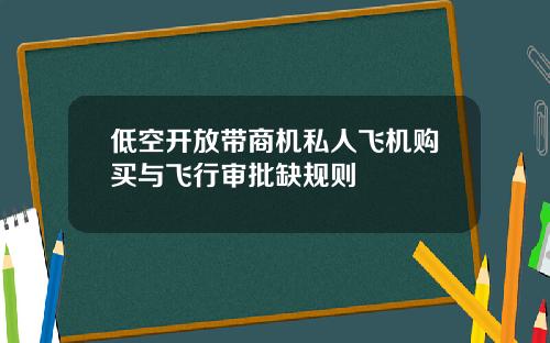 低空开放带商机私人飞机购买与飞行审批缺规则