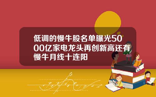 低调的慢牛股名单曝光5000亿家电龙头再创新高还有慢牛月线十连阳