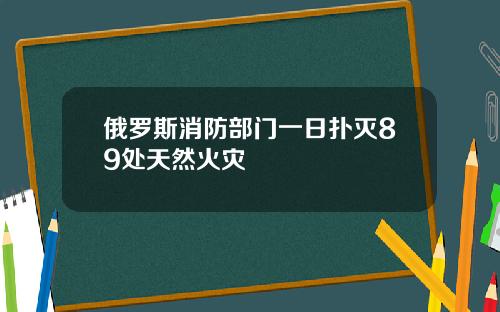 俄罗斯消防部门一日扑灭89处天然火灾