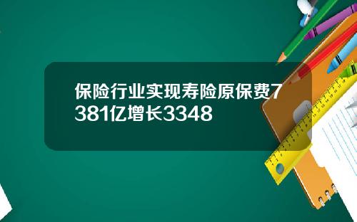 保险行业实现寿险原保费7381亿增长3348