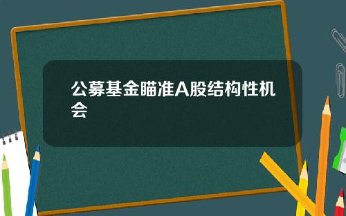 公募基金瞄准A股结构性机会