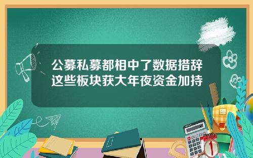 公募私募都相中了数据措辞这些板块获大年夜资金加持