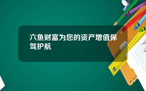 六鱼财富为您的资产增值保驾护航