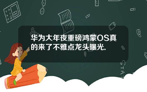 华为大年夜重磅鸿蒙OS真的来了不雅点龙头曝光.