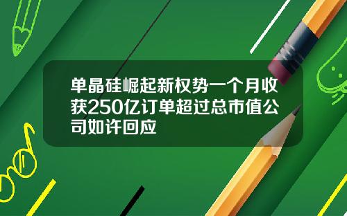 单晶硅崛起新权势一个月收获250亿订单超过总市值公司如许回应