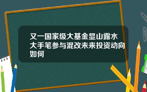 又一国家级大基金显山露水大手笔参与混改未来投资动向如何