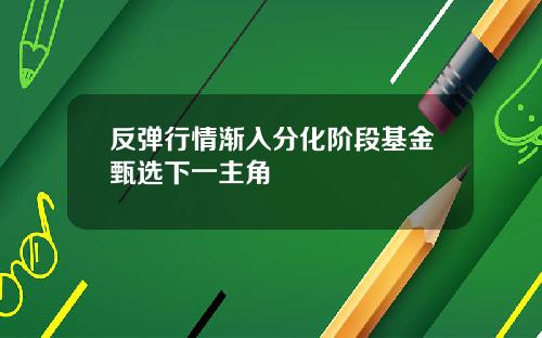 反弹行情渐入分化阶段基金甄选下一主角