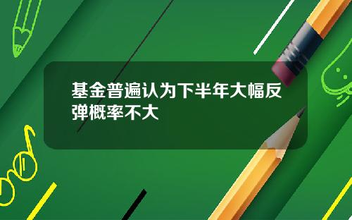 基金普遍认为下半年大幅反弹概率不大