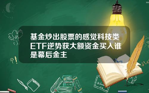 基金炒出股票的感觉科技类ETF逆势获大额资金买入谁是幕后金主