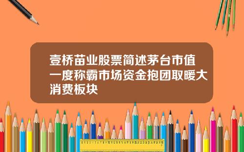 壹桥苗业股票简述茅台市值一度称霸市场资金抱团取暖大消费板块