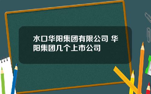 水口华阳集团有限公司 华阳集团几个上市公司