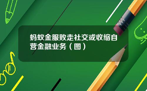 蚂蚁金服败走社交或收缩自营金融业务（图）